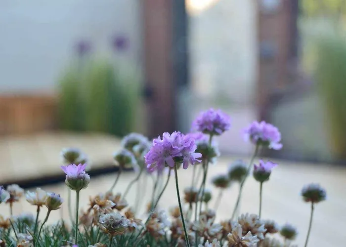 Alojamento de Turismo Rural Bigotes