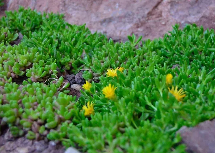 Alojamento de Turismo Rural Bigotes *